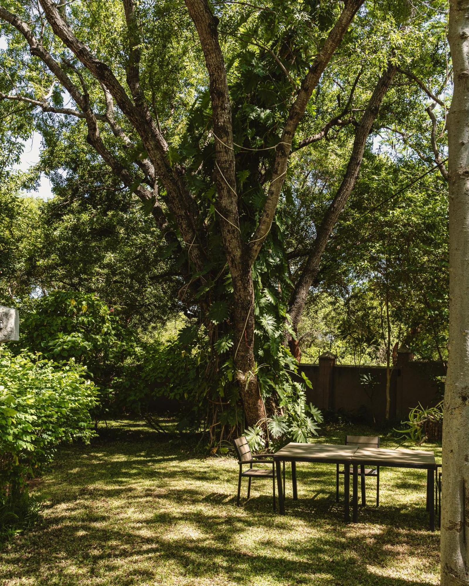 Jacaranda Lodge Air Terjun Victoria Bagian luar foto