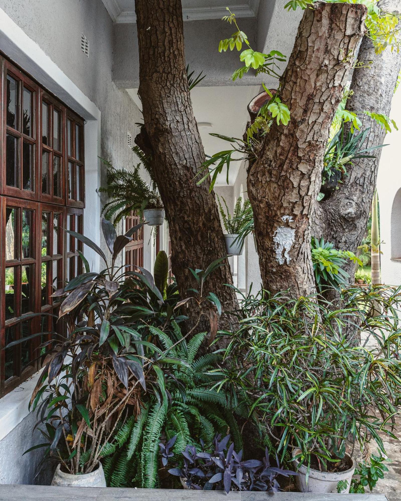 Jacaranda Lodge Air Terjun Victoria Bagian luar foto